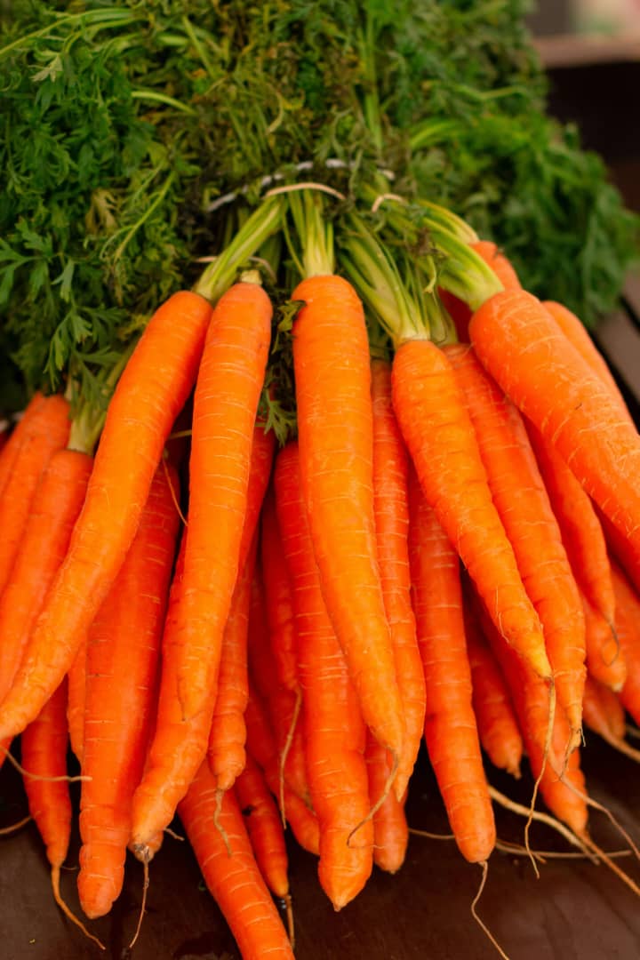 Carrot Fruit