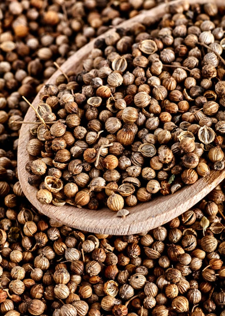 Coriander Seed