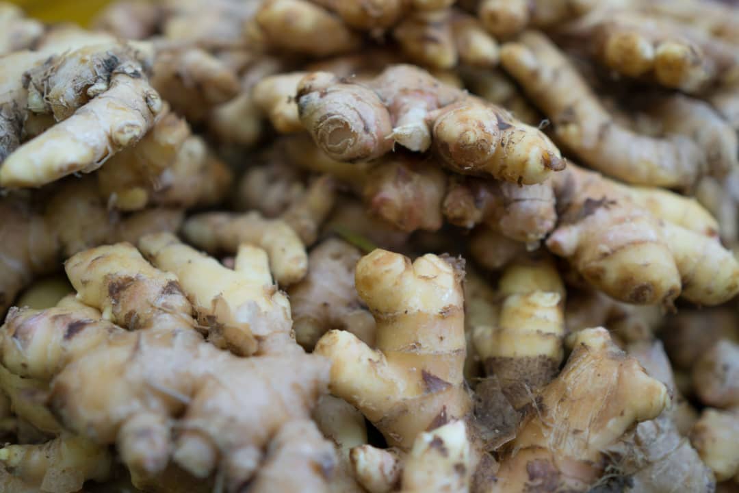 Ginger Rhizome