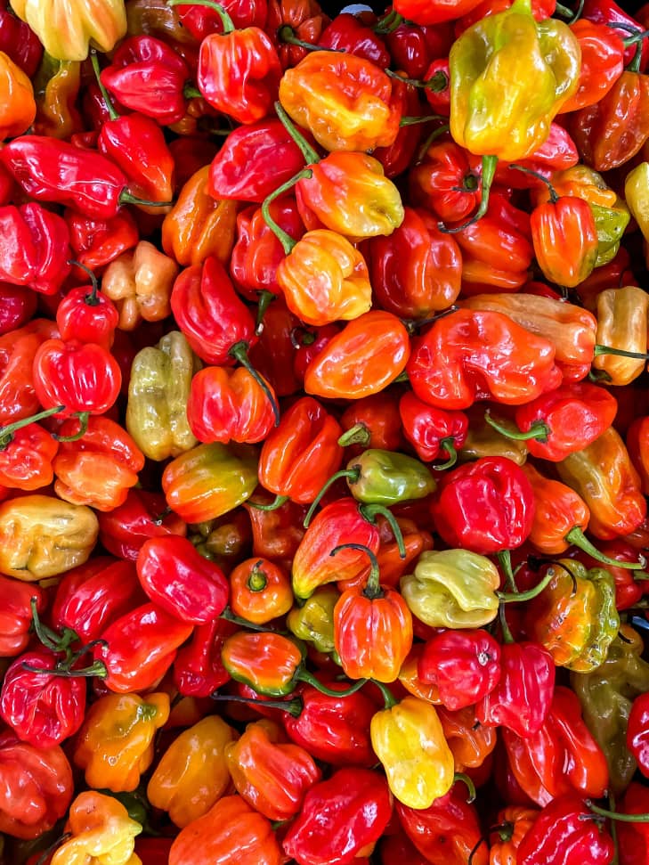 Pepper Fruits