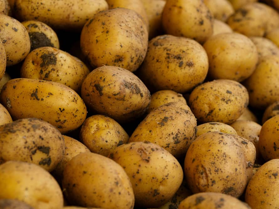 Potato Tuber
