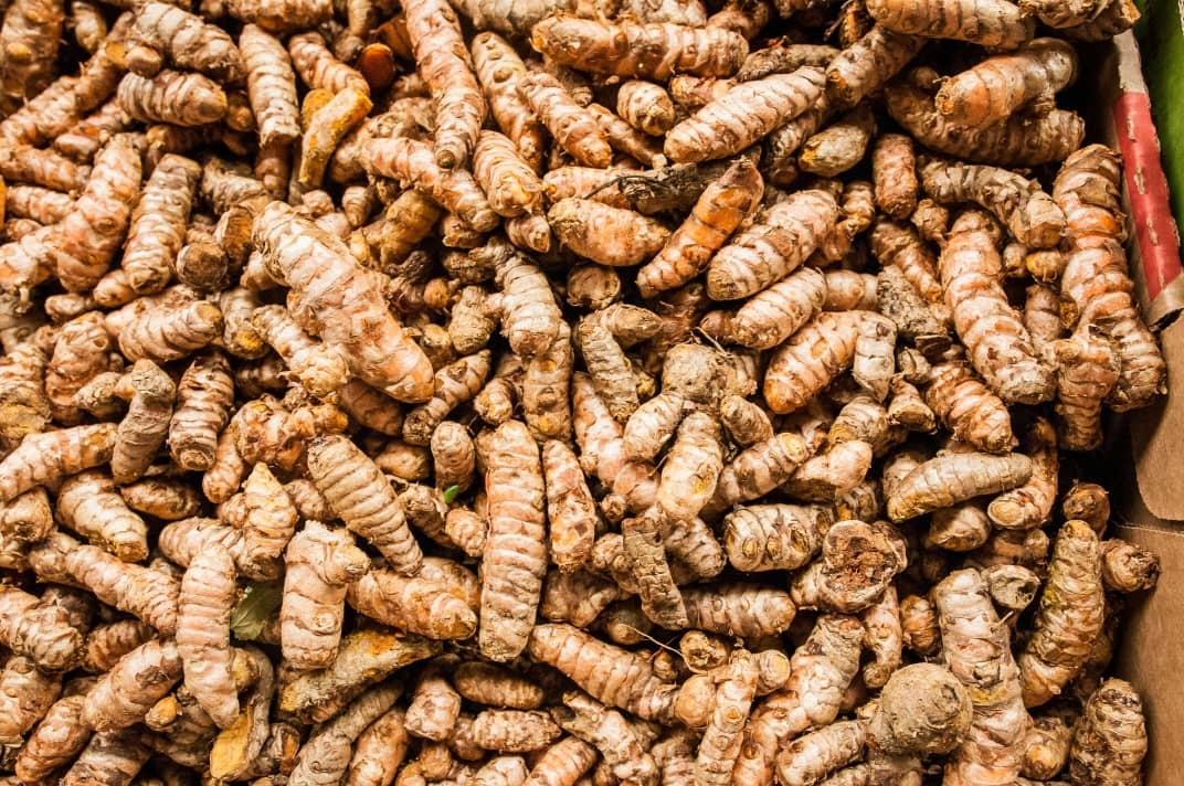 Tumeric Rhizome